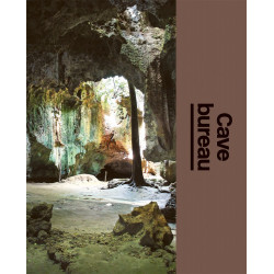 Cave Bureau: The Architect's Studio