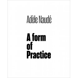 Adele Naude: A Form of Practice