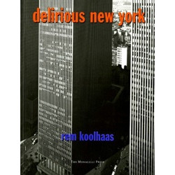 Delirious New York