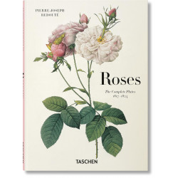 Redoute. Roses