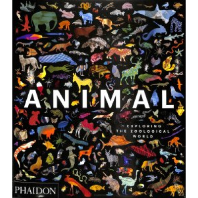 Animal: Exploring the Zoological World