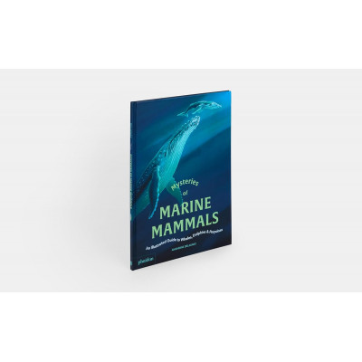 Mysteries of Marine Mammals: An Illustrated Guide to Whales, Dolphins, and Porpoises