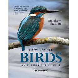 How To See Birds