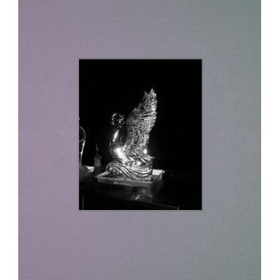 I shall sing these songs beautifully (Уценка) I shall sing these songs beautifully (Уценка)