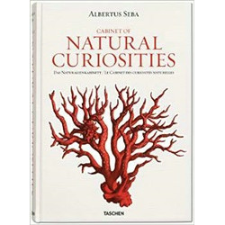 Albertus Seba: Cabinet of Natural Curiosities
