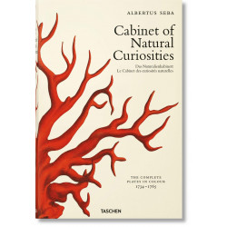Cabinet of Natural Curiosities (Уценка)