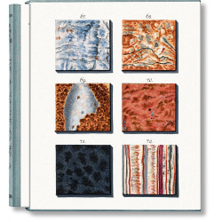 Jan Christiaan Sepp. The Book of Marble