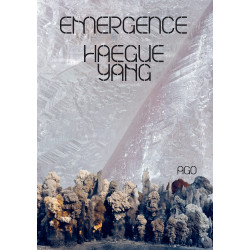 Haegue Yang: Emergence