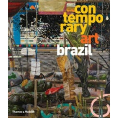 Contemporary Art Brazil