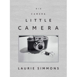 Laurie Simmons