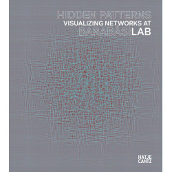 Hidden Patterns: Visualizing Networks at BarabásiLab
