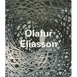 Olafur Eliasson (Contemporary Artists)