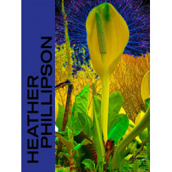 Heather Phillipson