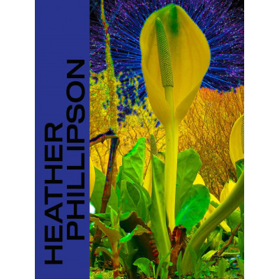 Heather Phillipson