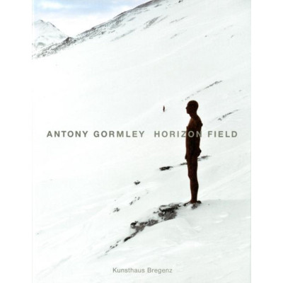 Antony Gormley: Horizon Field
