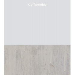 Cy Twombly