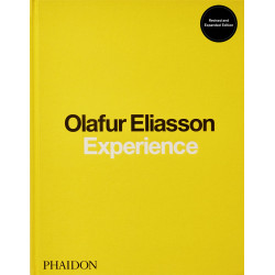Olafur Eliasson: Experience