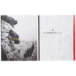 Art AIDS America