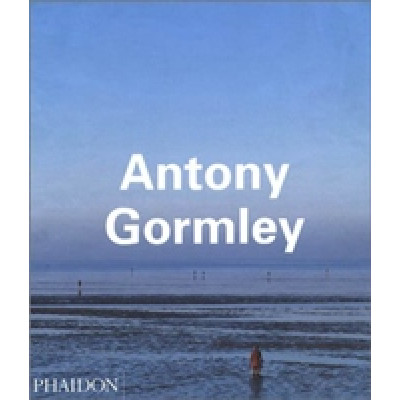 Antony Gormley (Contemporary Artists)