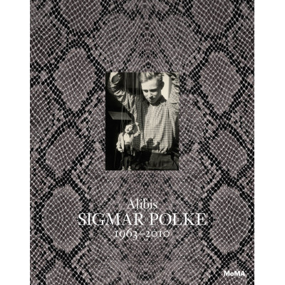 Sigmar Polke: Alibis, 1963-2010