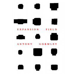 Antony Gormley: Expansion Field