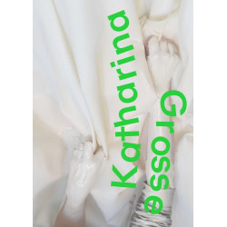 Katharina Grosse: Why Three Tones Do Not Form a Triangle Katharina Grosse: Why Three Tones Do Not Form a Triangle