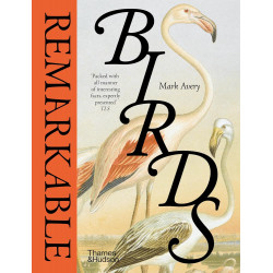Remarkable Birds
