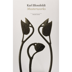 Karl Blossfeldt: Masterworks