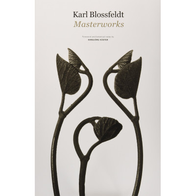 Karl Blossfeldt: Masterworks