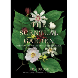 The Scentual Garden