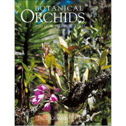 Botanical Orchids