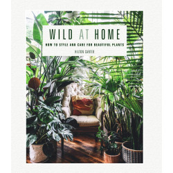 Wild at Home: How to style and care for beautiful plants