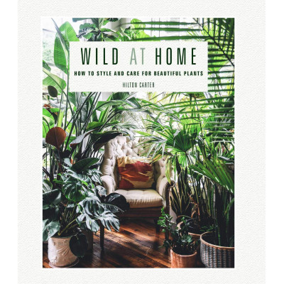 Wild at Home: How to style and care for beautiful plants