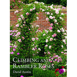 Climbing And Rambler Roses