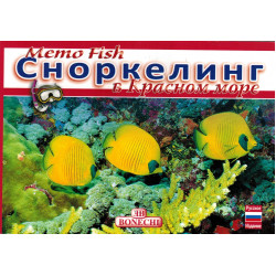 Сноркелинг в Красном море