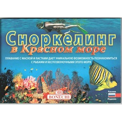 Сноркелинг в Красном море