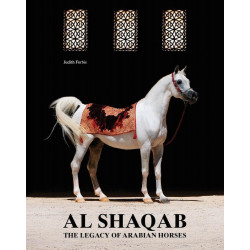 Al Shaqab The Legacy of Arabian Horses