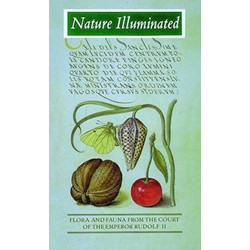 Nature Illuminated
