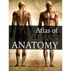 Atlas of Human Anatomy