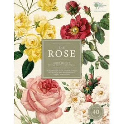 The Rose