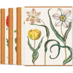 Basilius Besler. The Garden at Eichstatt