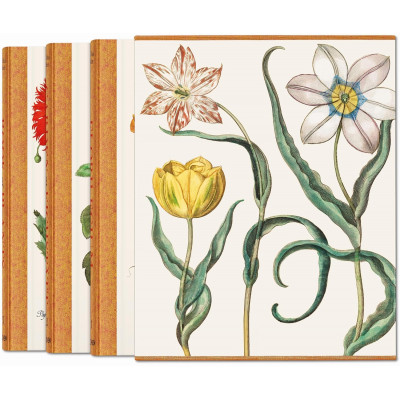 Basilius Besler. The Garden at Eichstatt