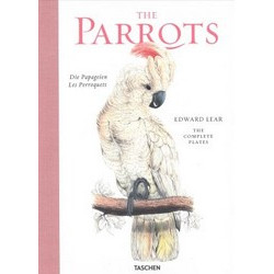 The Parrots by Edward Lear