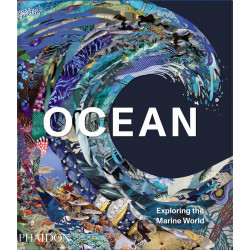 Ocean: Exploring the Marine World