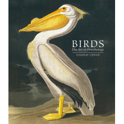 Birds: The Art of Ornithology