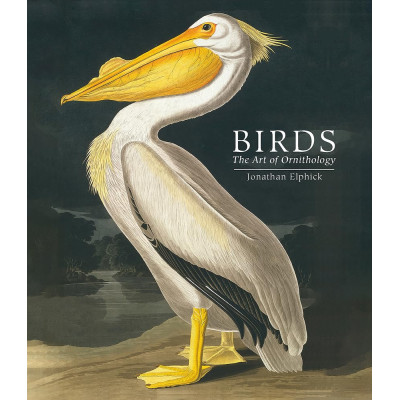Birds: The Art of Ornithology