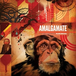 Amalgamate: The Art, Design & Exploration of Blaine Fontana (Уценка)