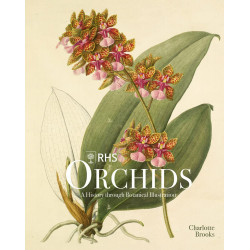 RHS Orchids: A History Through Botanical Illustration