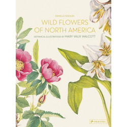Wild Flowers of North America: Botanical Illustrations by Mary Vaux Walcott