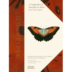 Iconotypes: A compendium of butterflies and moths